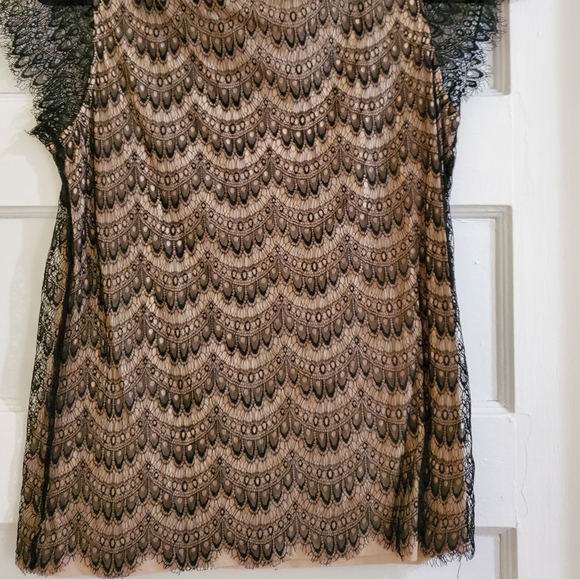 Beautiful shell top - Picture 2 of 2